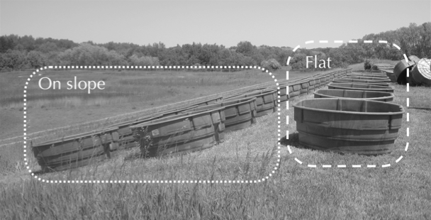 Cattle tank experiment setup at Kellog Biological Station